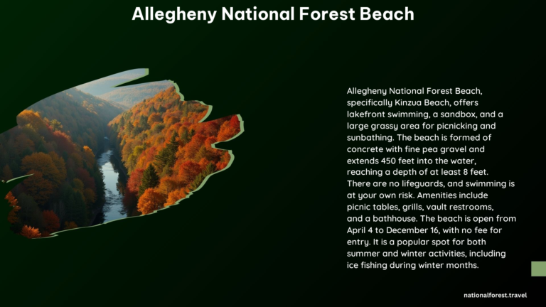 Allegheny National Forest Beach