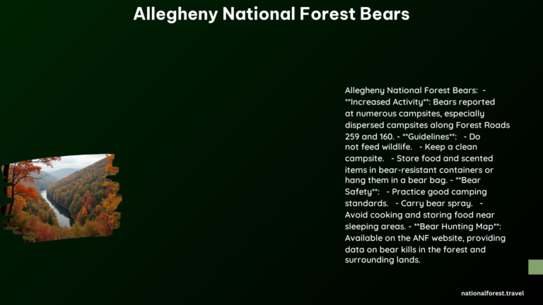 Allegheny National Forest Bears