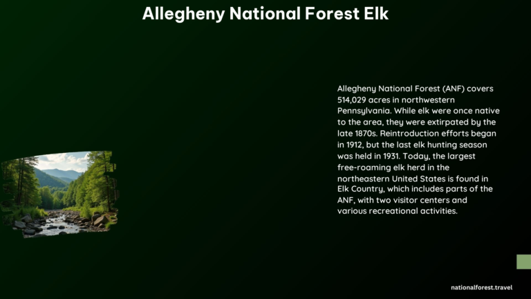 Allegheny National Forest Elk