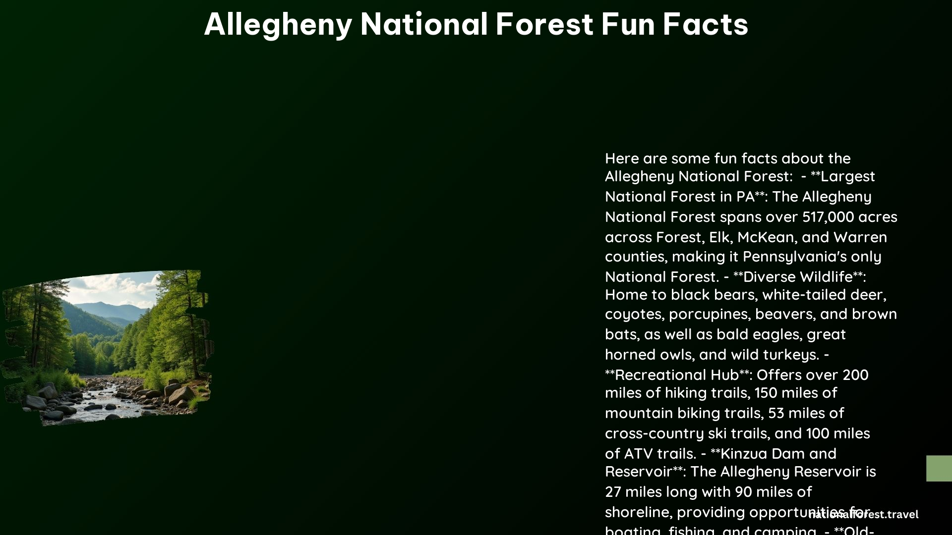 Allegheny National Forest Fun Facts