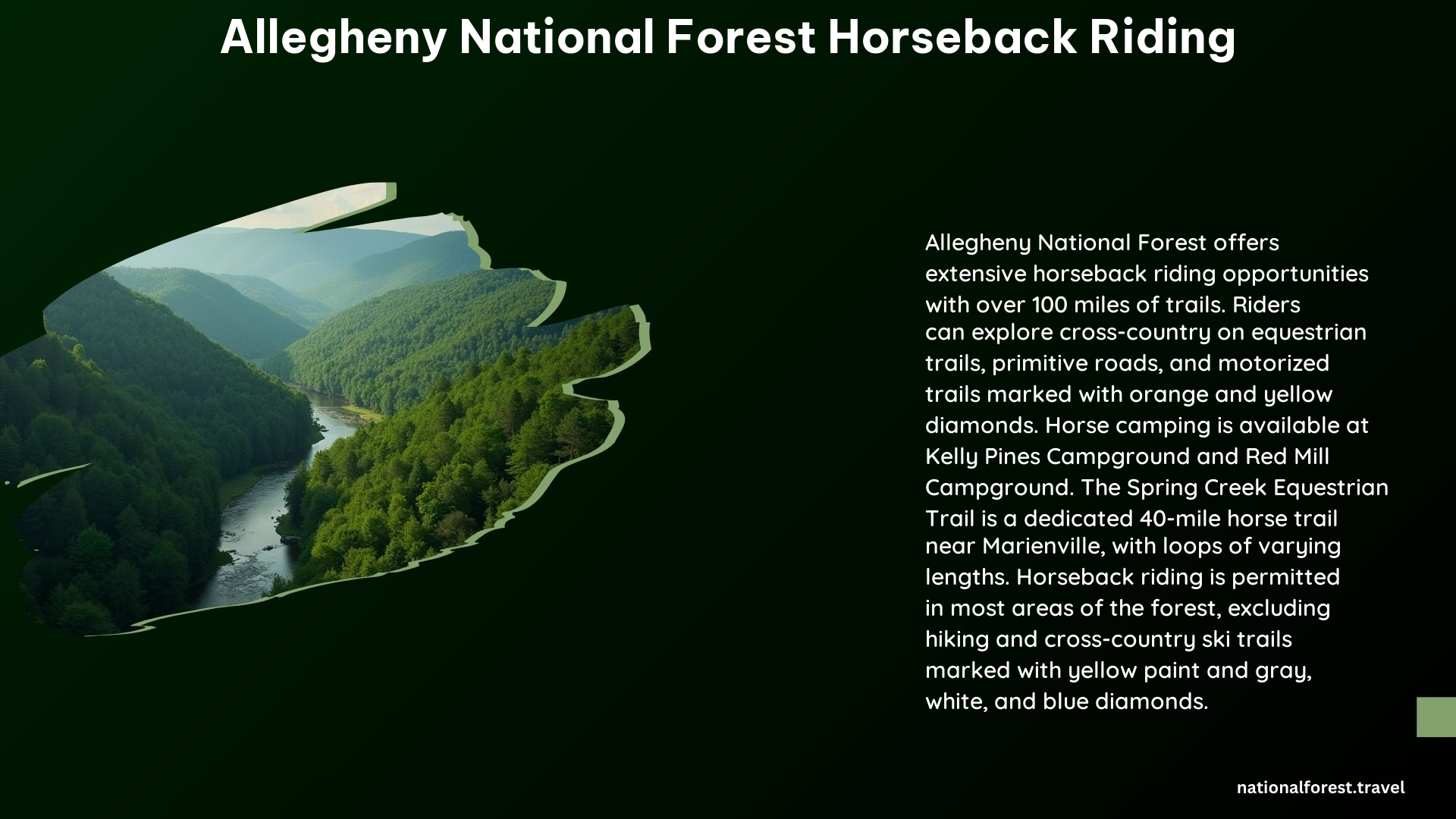 Allegheny National Forest Horseback Riding