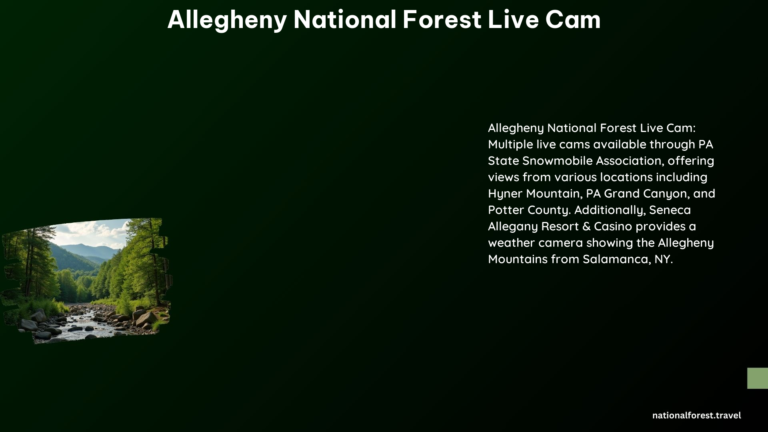 Allegheny National Forest Live Cam