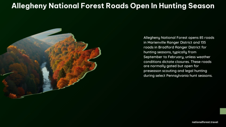 Allegheny National Forest Roads Open in Hunting Season