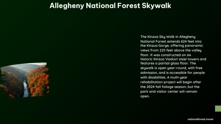 Allegheny National Forest Skywalk