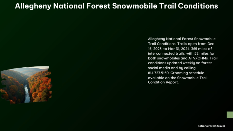 Allegheny National Forest Snowmobile Trail Conditions
