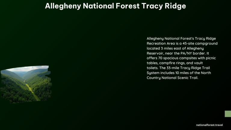 Allegheny National Forest Tracy Ridge