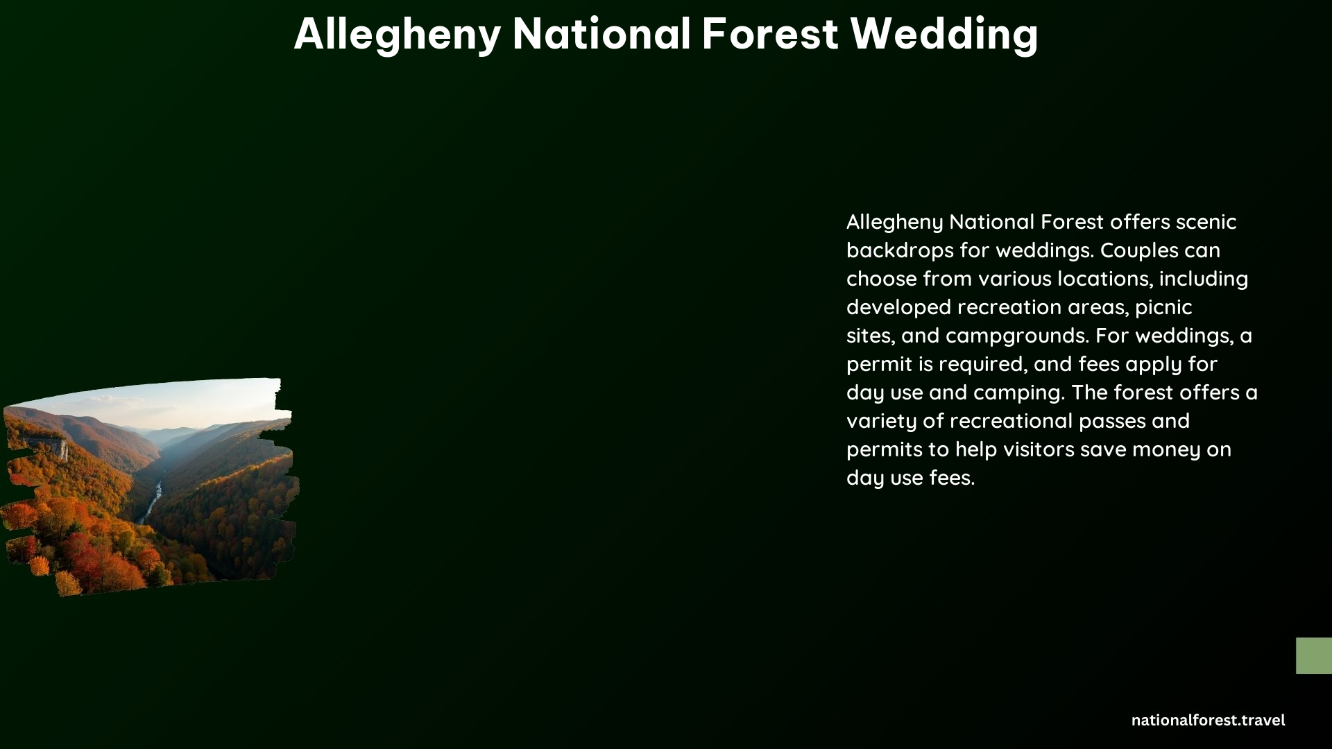 Allegheny National Forest Wedding