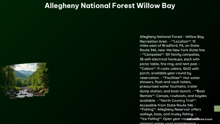 Allegheny National Forest Willow Bay