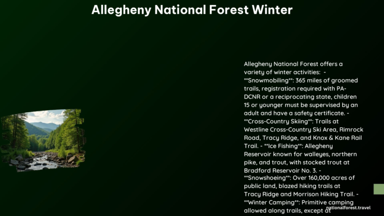 Allegheny National Forest Winter