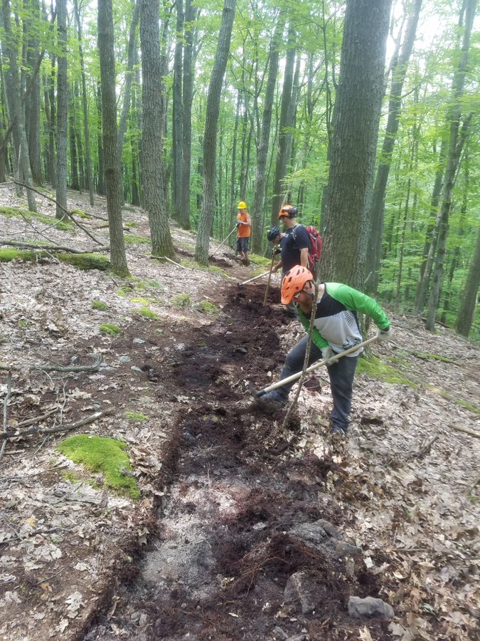 Allegheny National Forest Horseback Riding