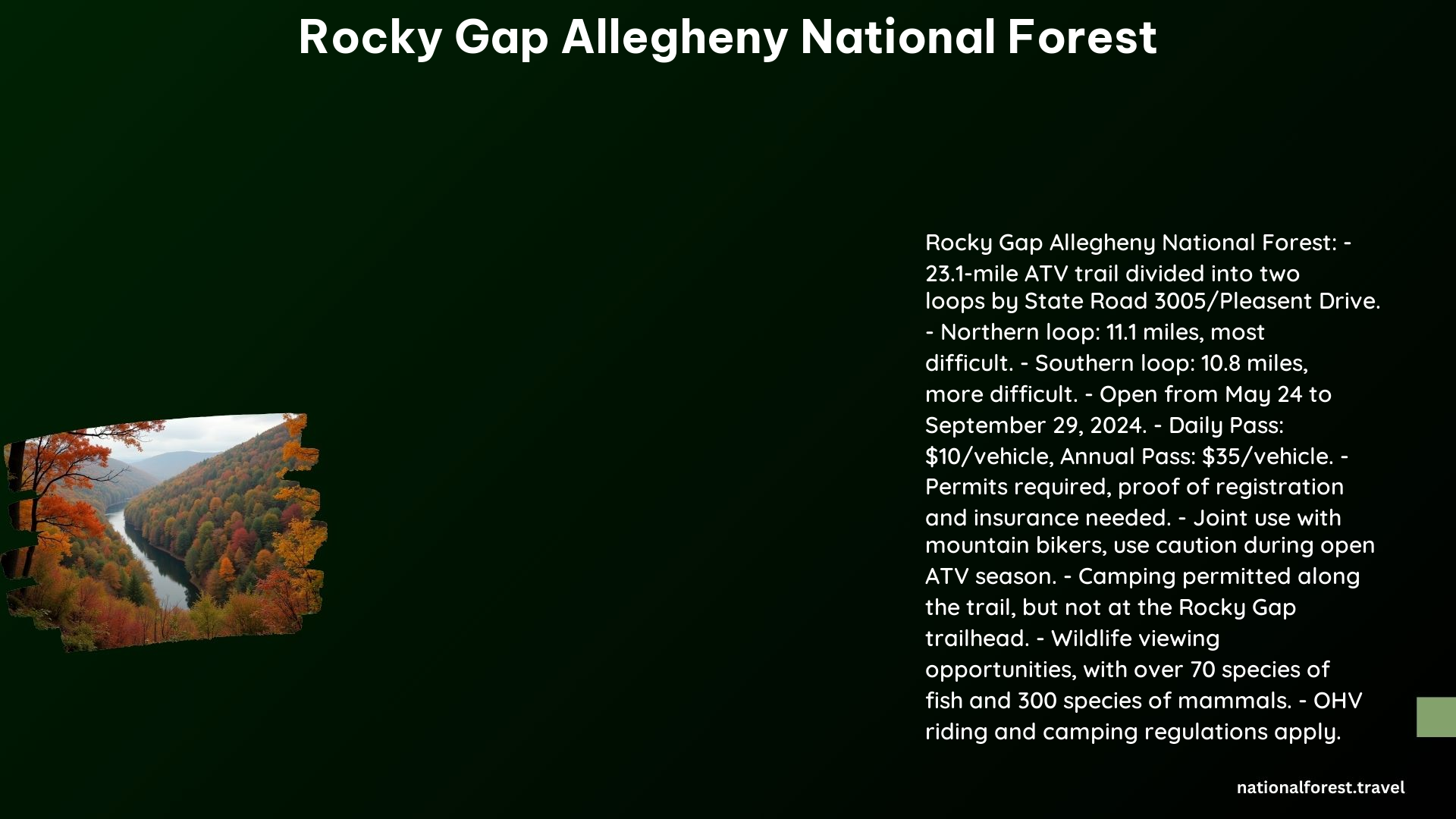 Rocky Gap Allegheny National Forest