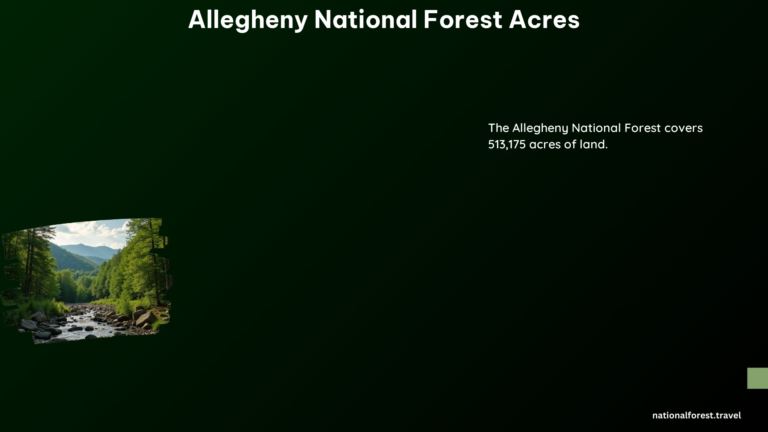 allegheny national forest acres