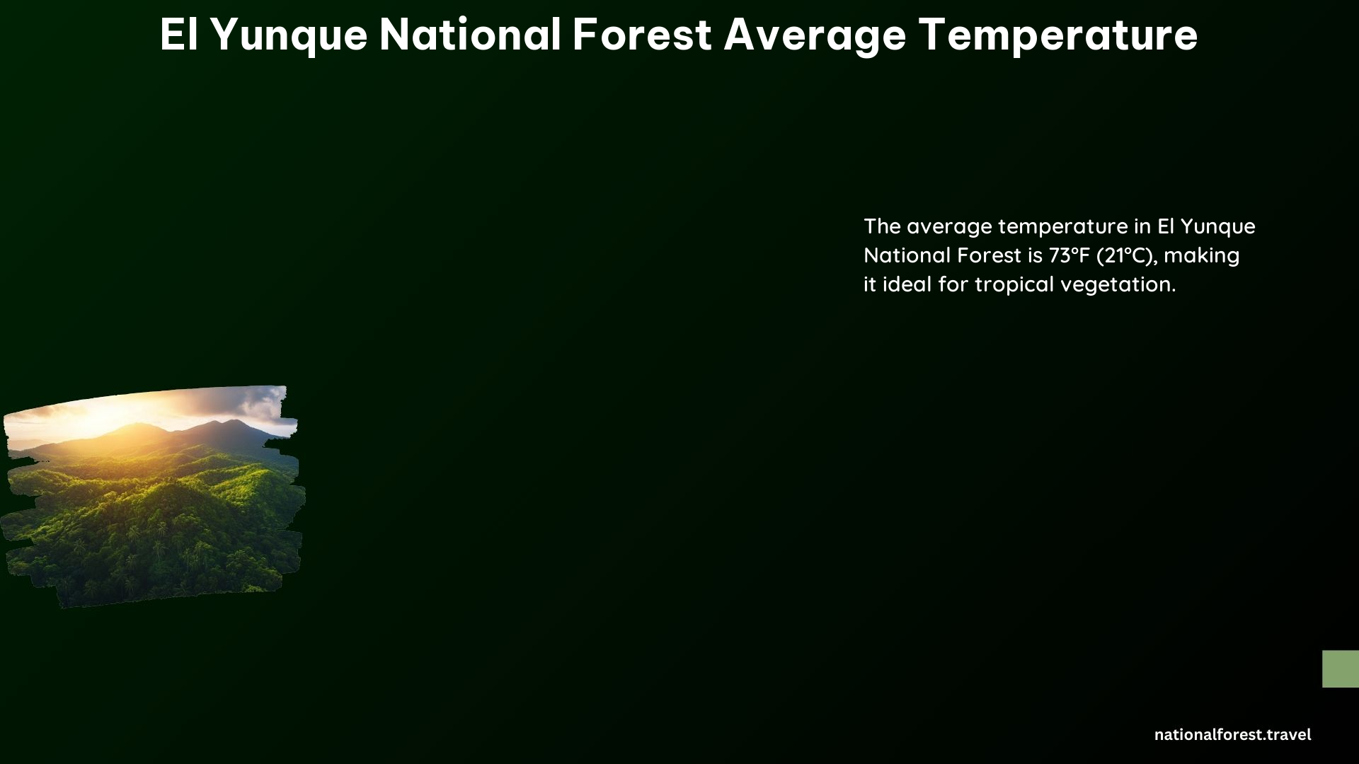 El Yunque National Forest Average Temperature 1