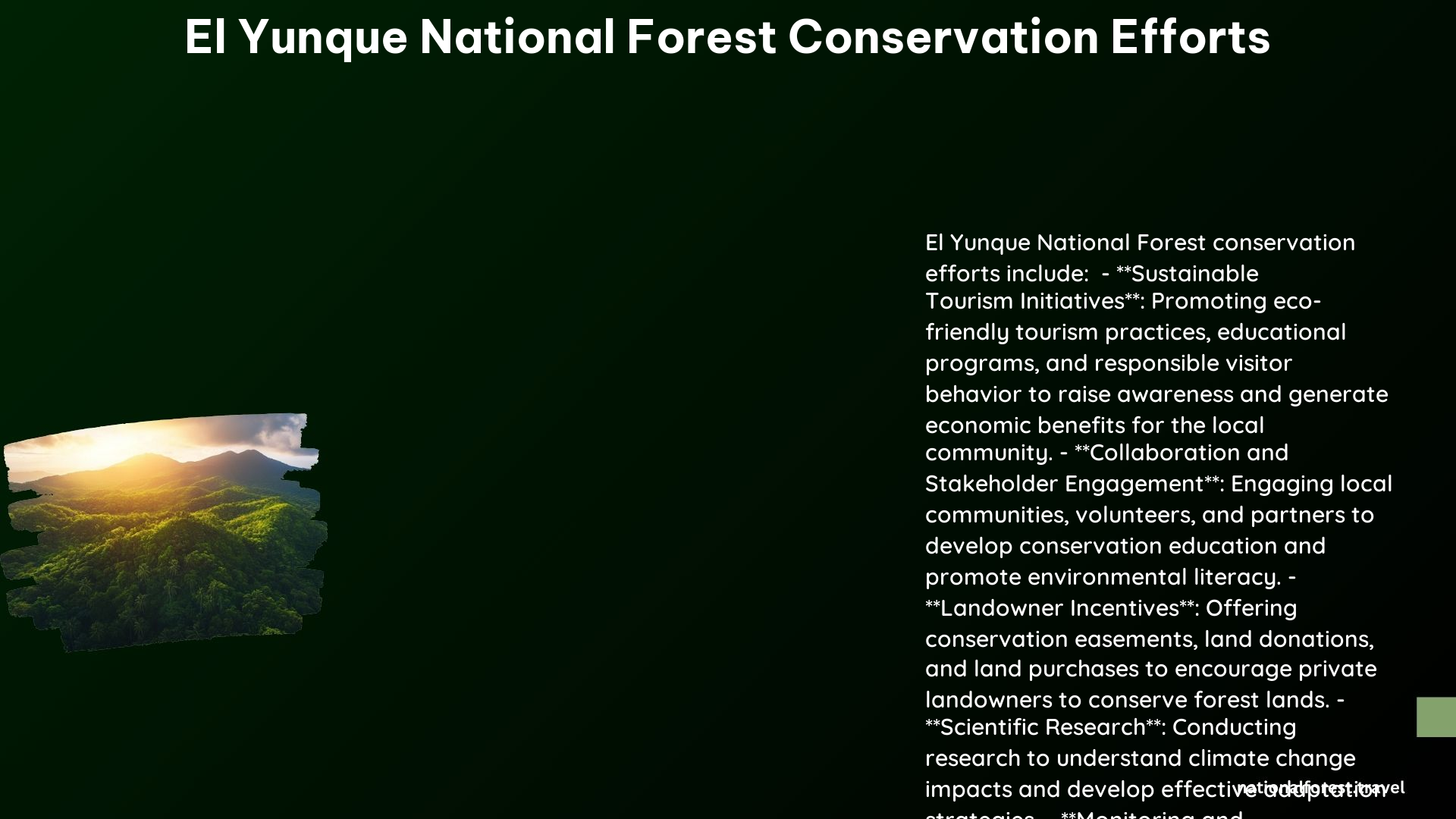 El Yunque National Forest Conservation Efforts