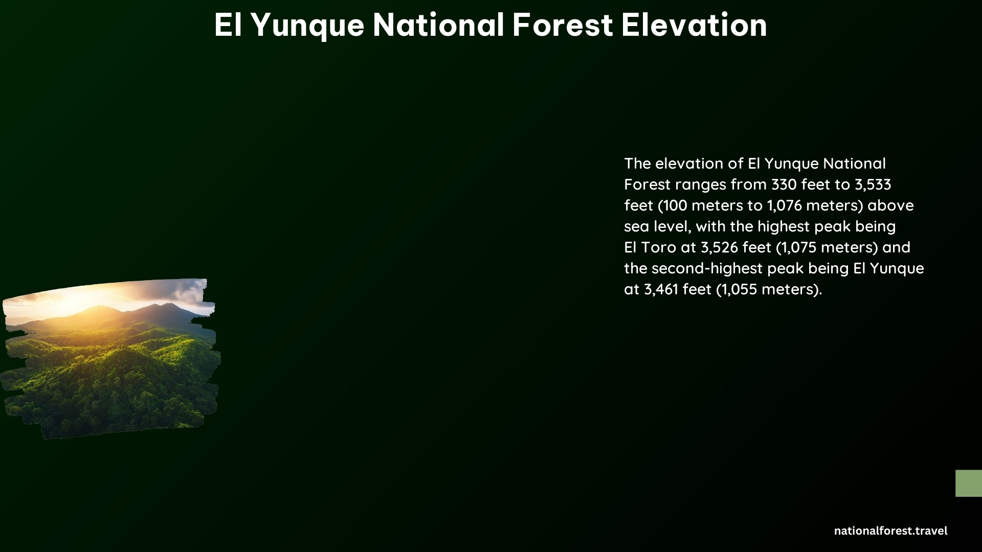 El Yunque National Forest Elevation
