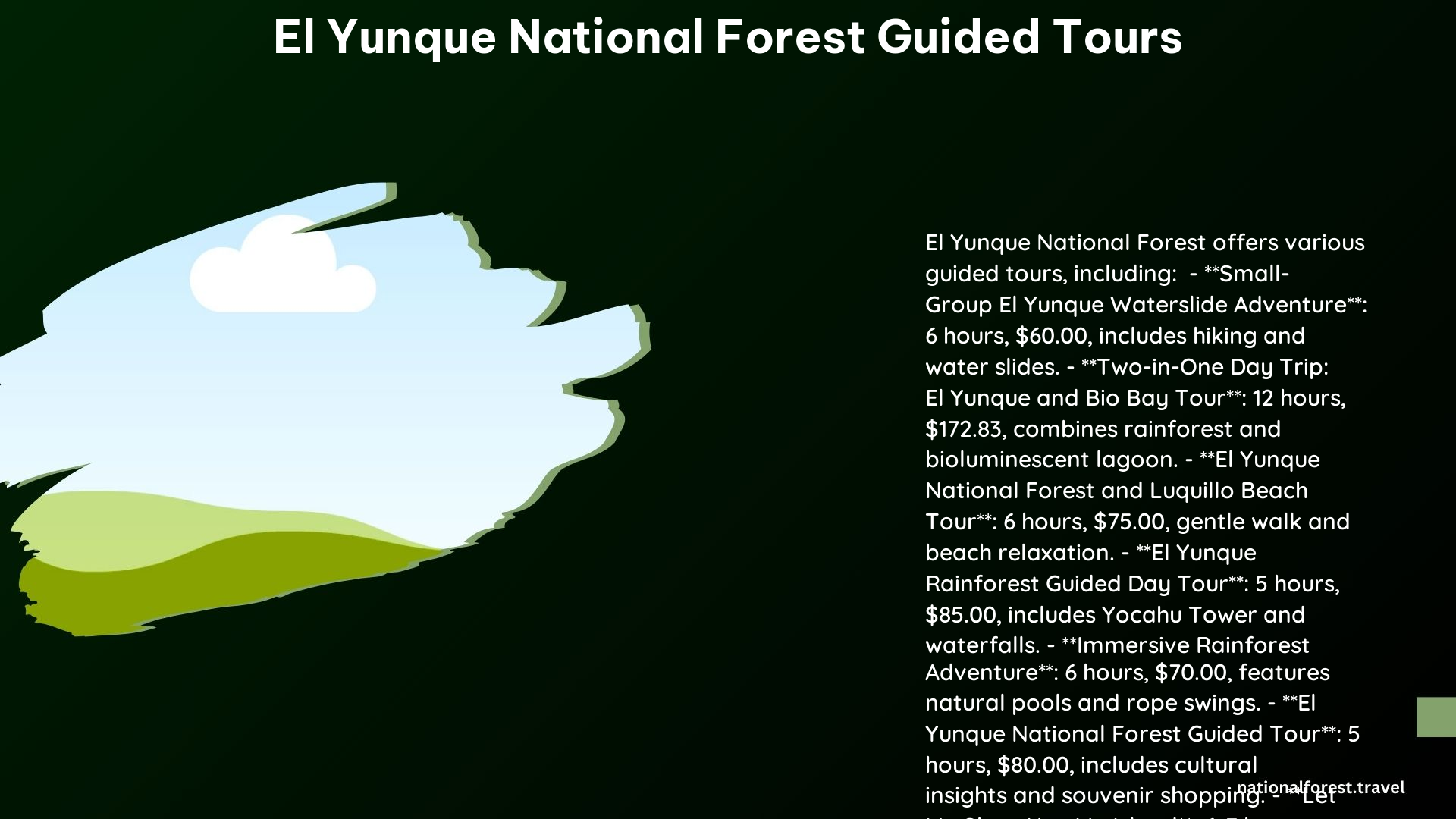 El Yunque National Forest Guided Tours