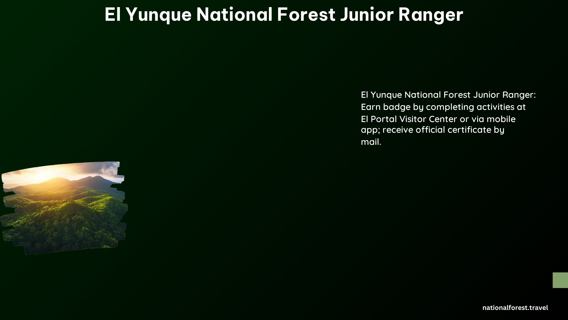El Yunque National Forest Junior Ranger 1