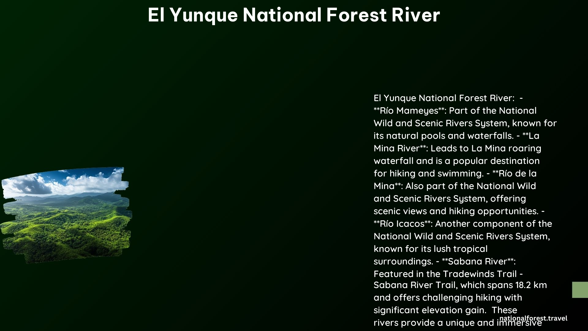 El Yunque National Forest River