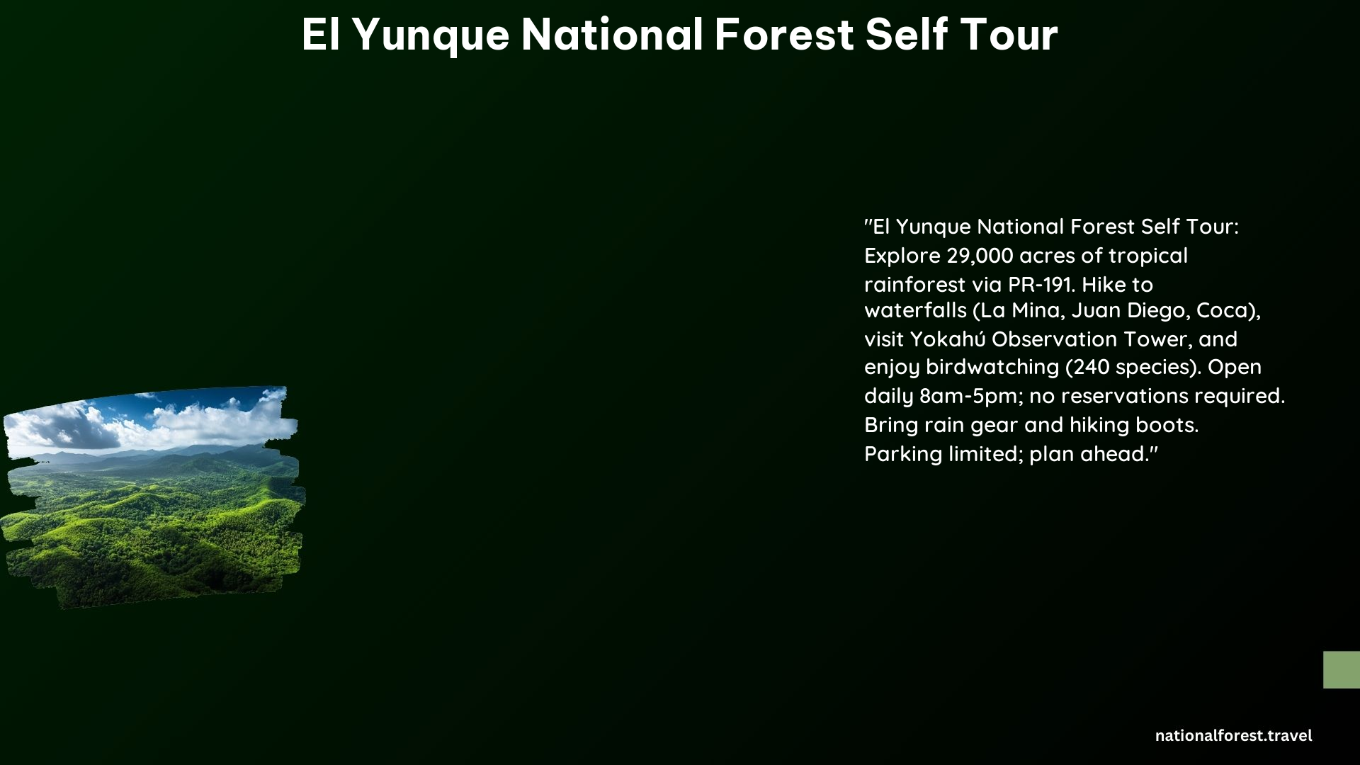 El Yunque National Forest Self Tour