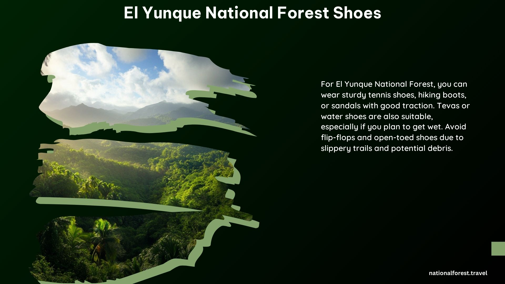 El Yunque National Forest Shoes