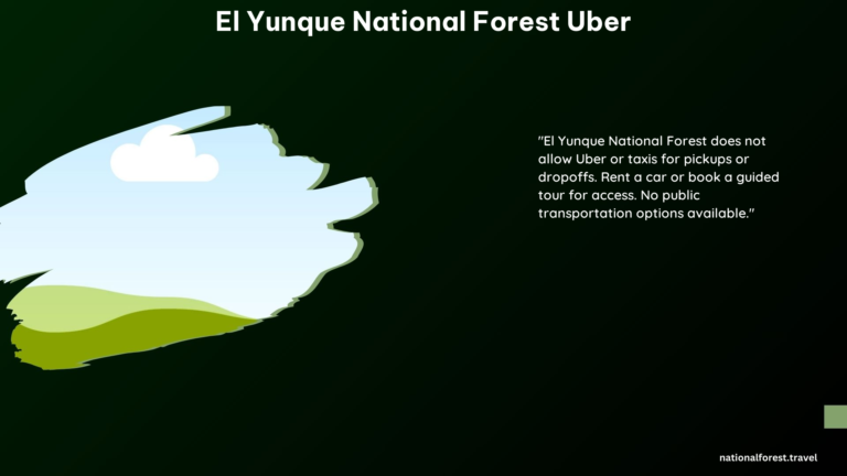 El Yunque National Forest Uber