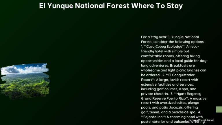 El Yunque National Forest Where to Stay