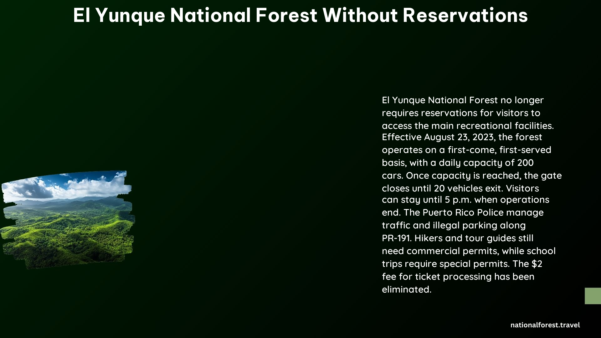 El Yunque National Forest Without Reservations