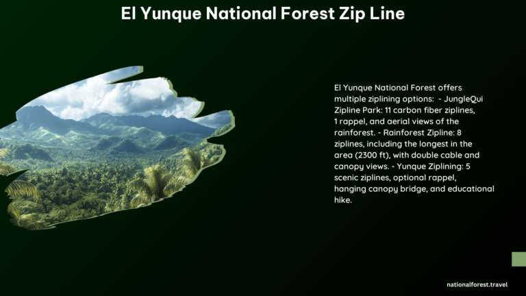 El Yunque National Forest Zip Line