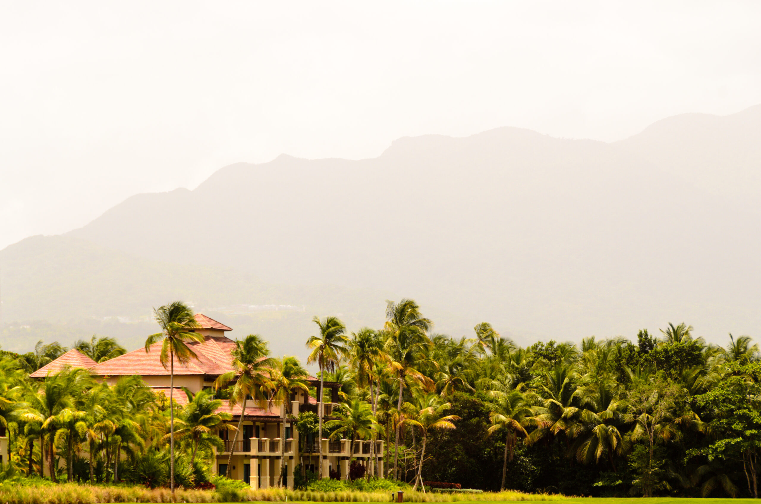 El Yunque National Forest Uber