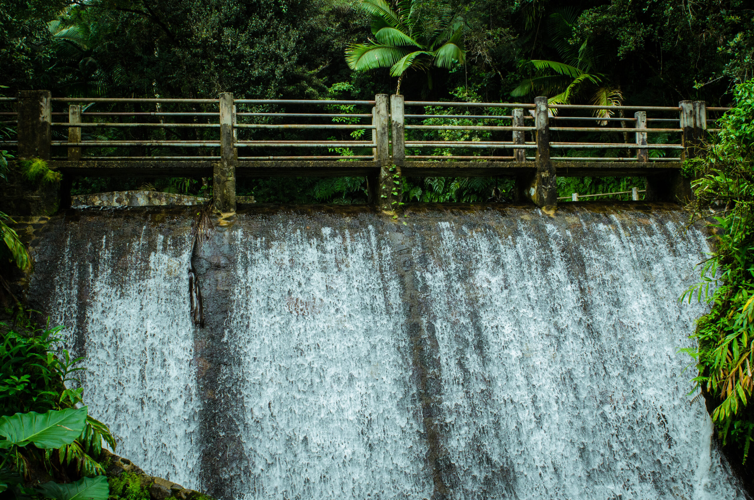 El Yunque National Forest Puerto Rico Climate