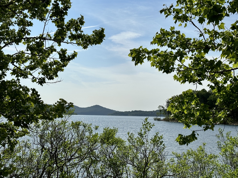 mark twain national forest acreage