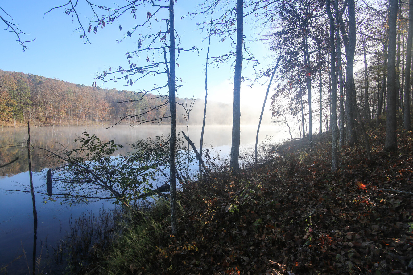 mark twain national forest free camping