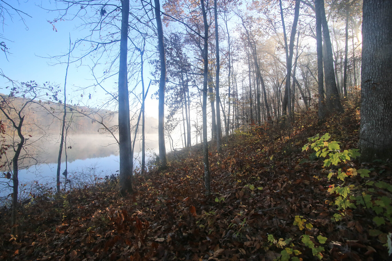 st louis to mark twain national forest