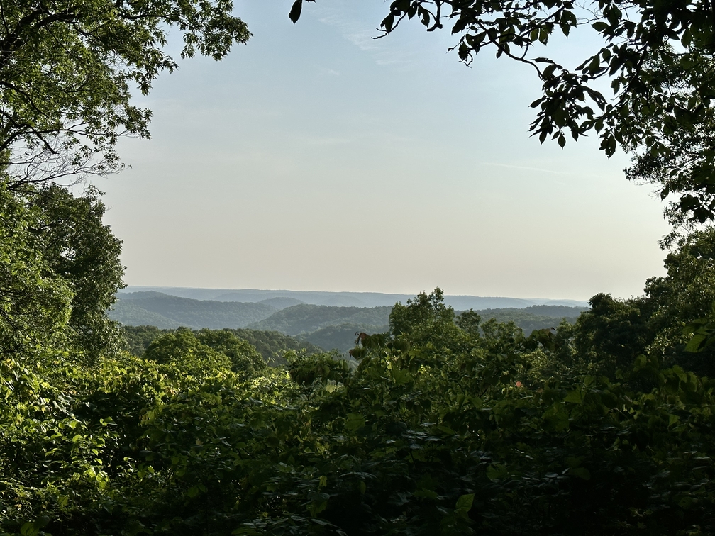 mark twain national forest eleven point river