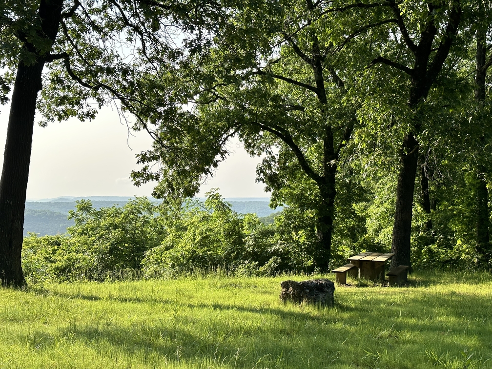 elk in mark twain national forest