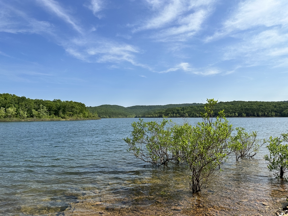 how big is mark twain national forest