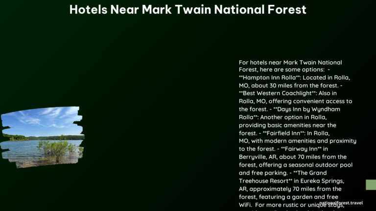 hotels near mark twain national forest