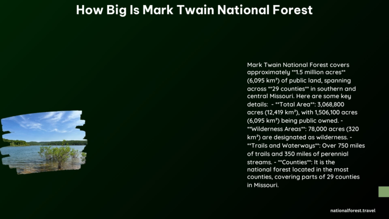 how big is mark twain national forest