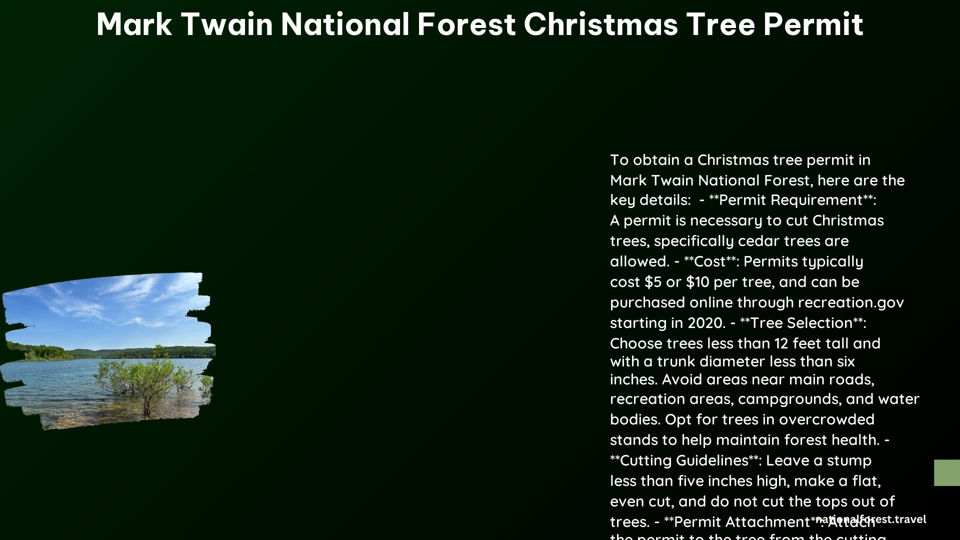 mark twain national forest christmas tree permit