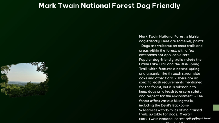 mark twain national forest dog friendly