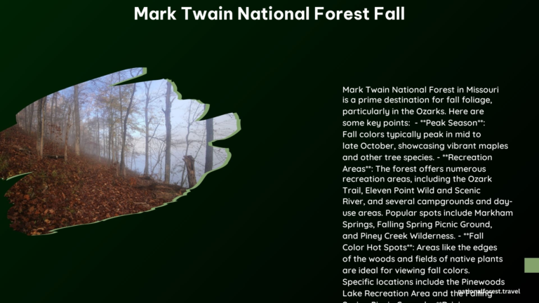 mark twain national forest fall