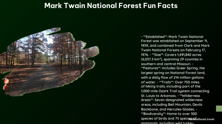 mark twain national forest fun facts