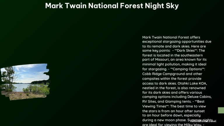 mark twain national forest night sky