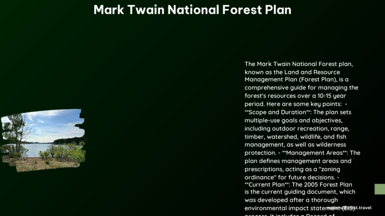 mark twain national forest plan