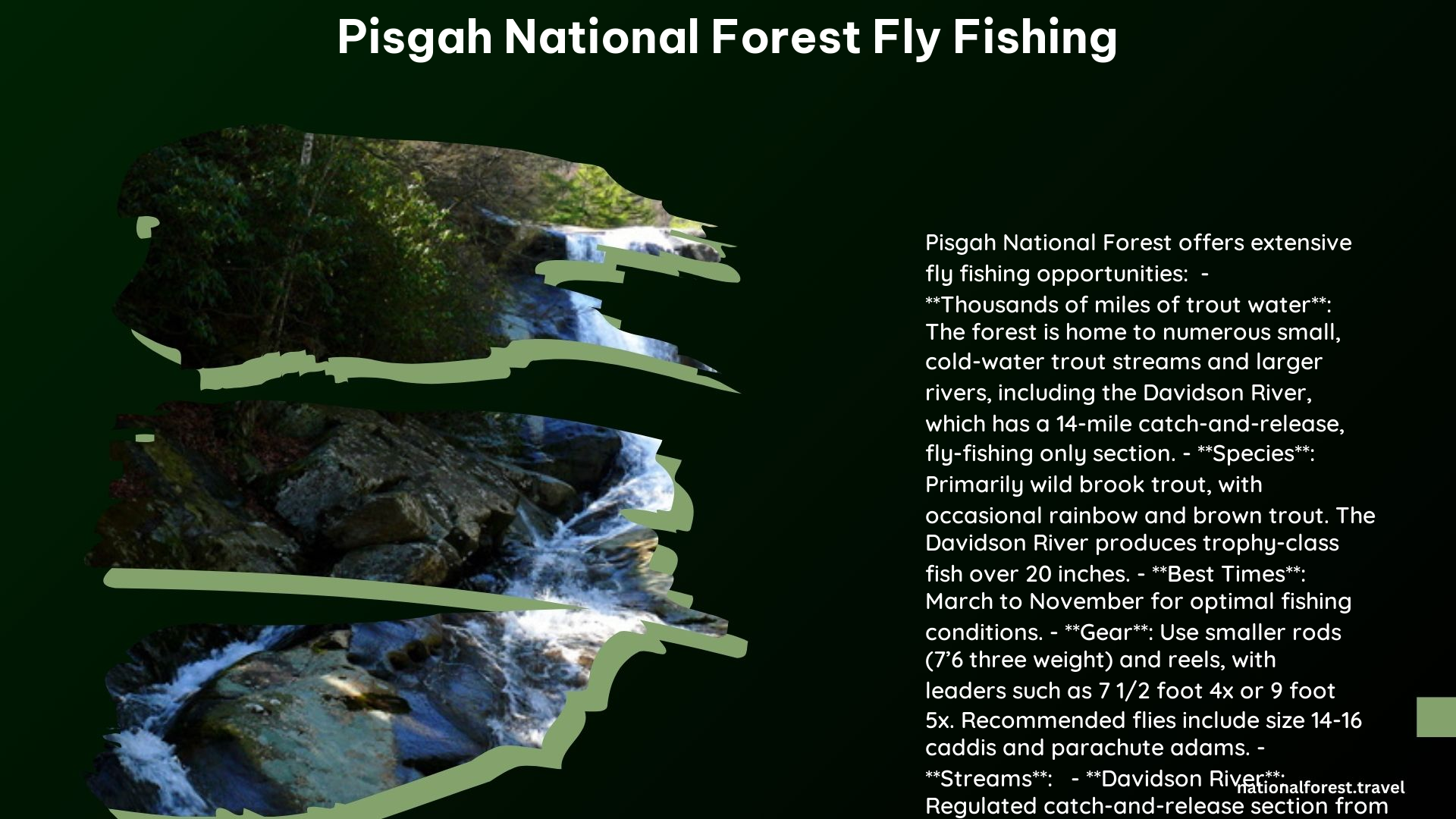 pisgah national forest fly fishing
