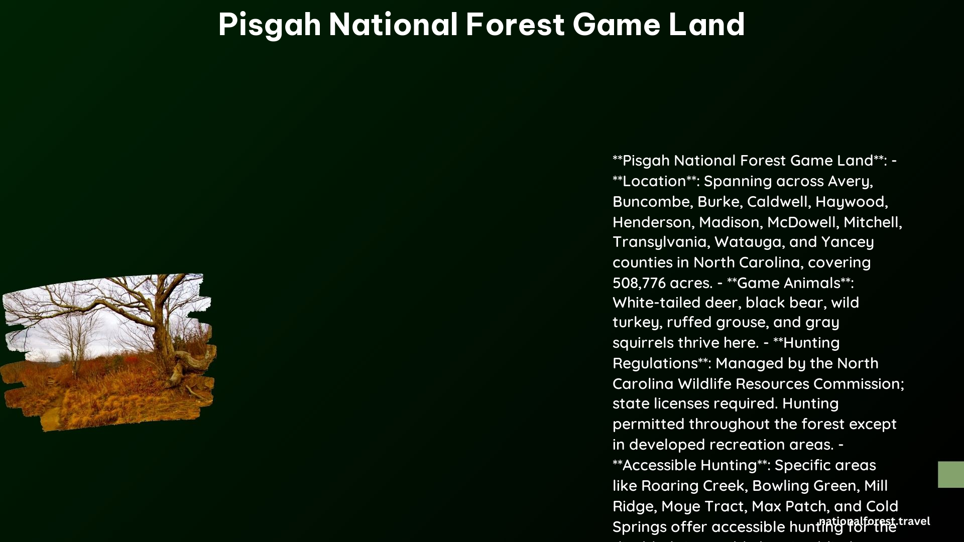 pisgah national forest game land