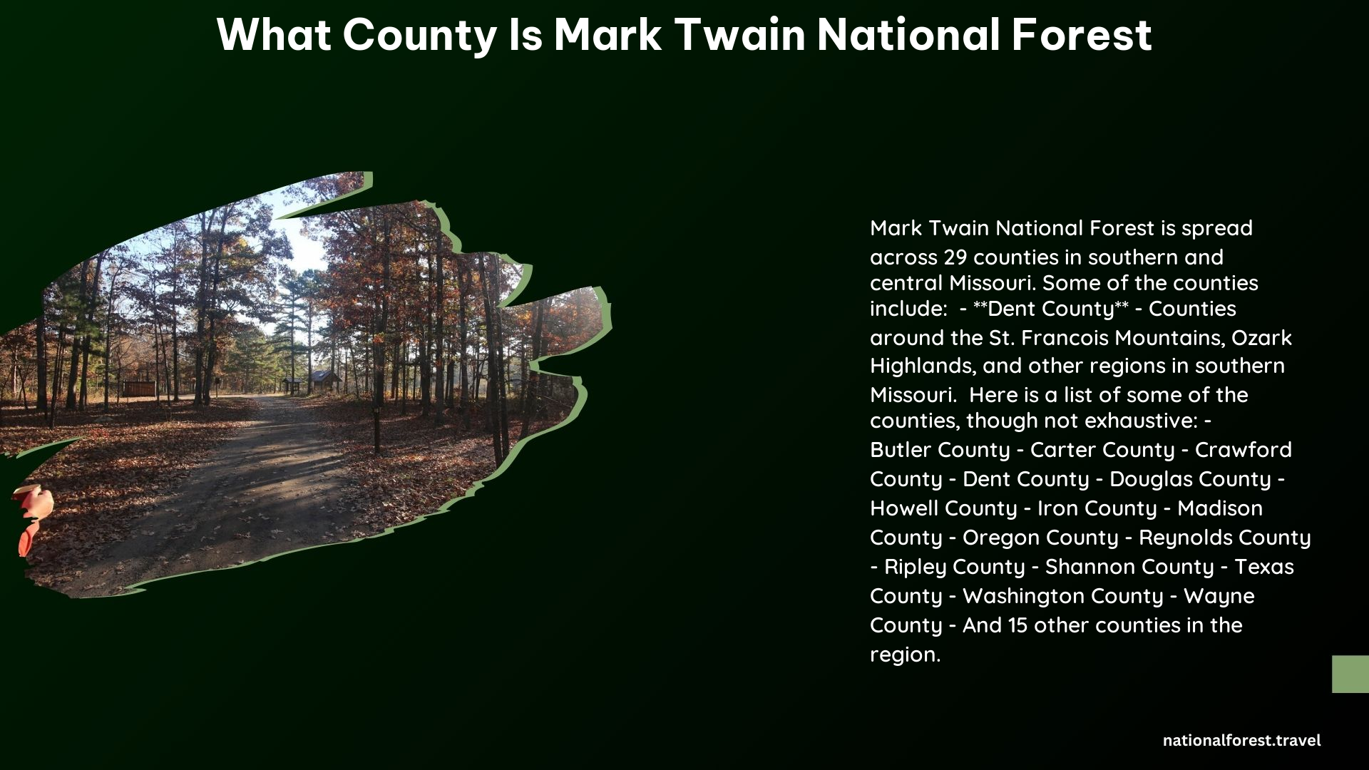 what county is mark twain national forest