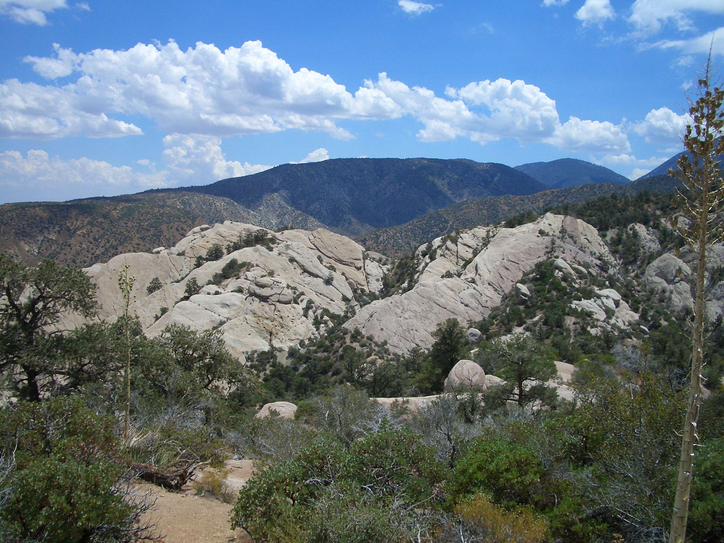 Angeles National Forest 30 14