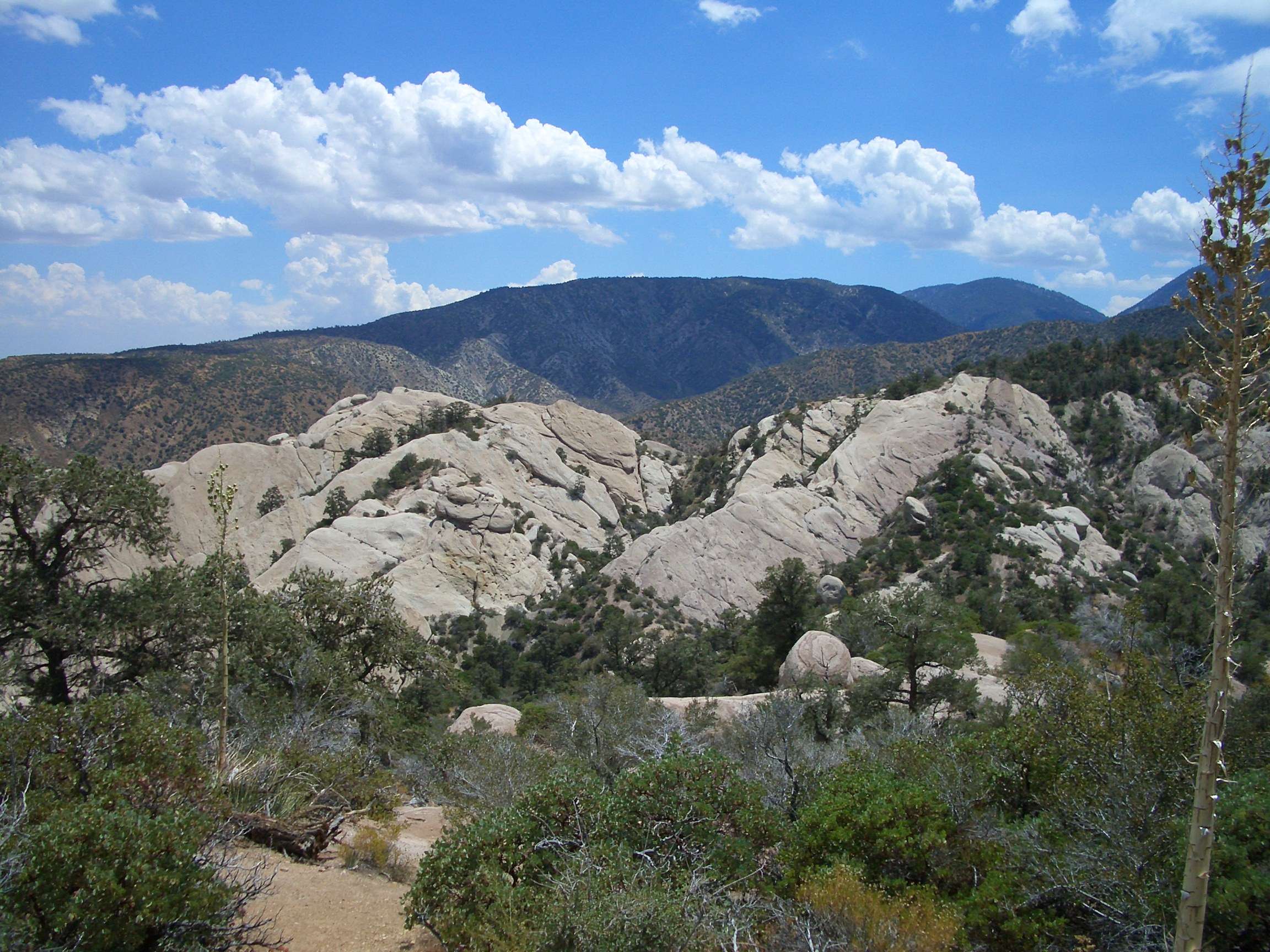 Angeles National Forest 30 7