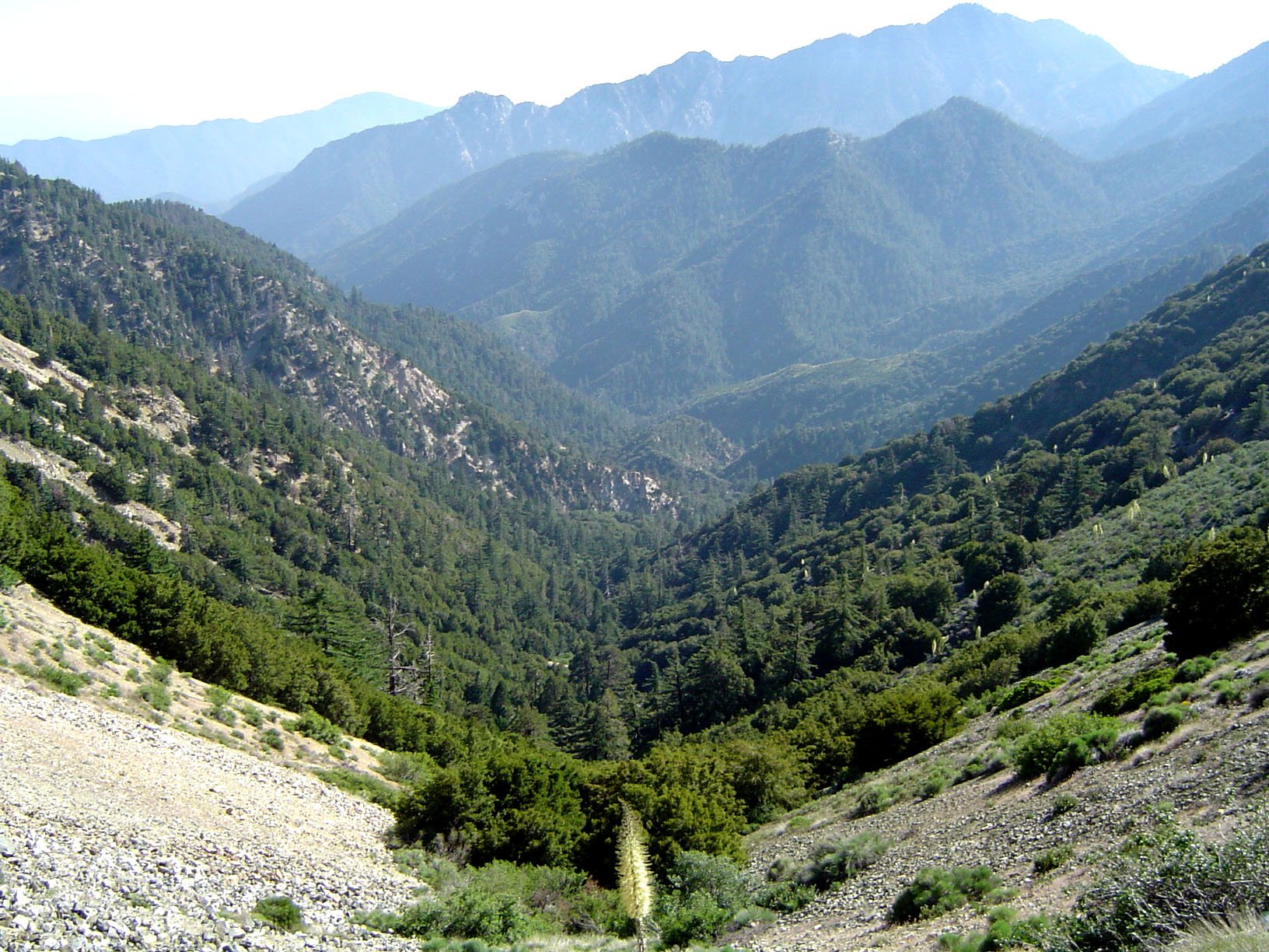 mount hawkins and angeles national forest